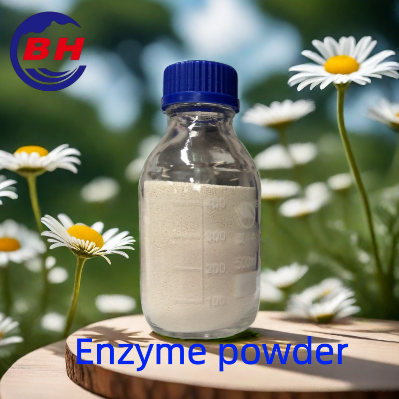 Proszek enzymatyczny H8808