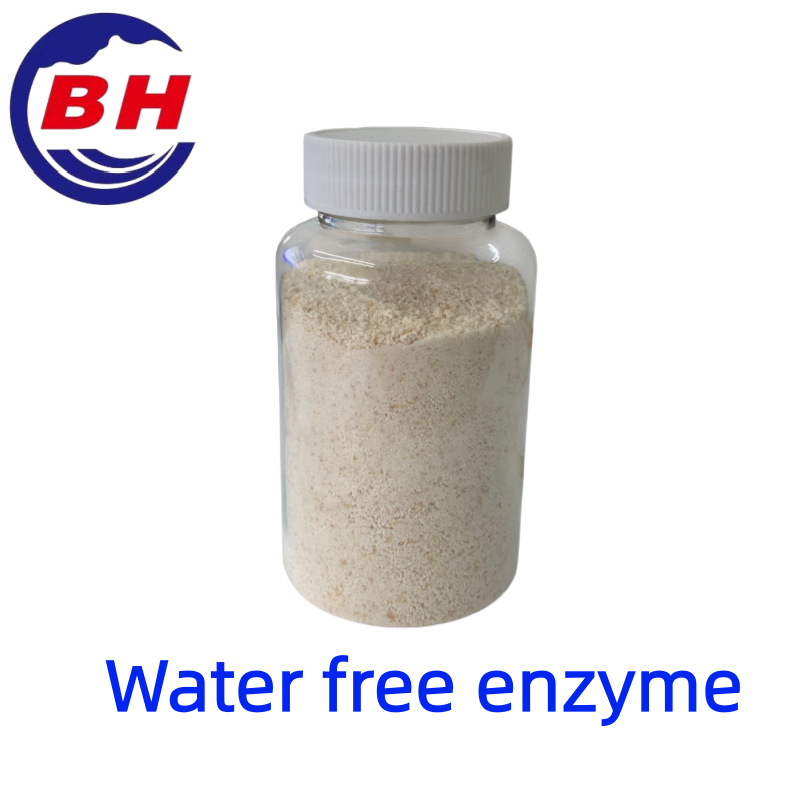 Enzym bezwodny H8811