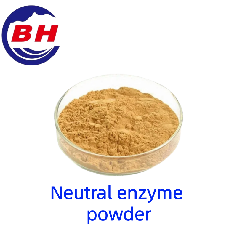Neutralny proszek enzymatyczny H8813